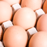 Eier